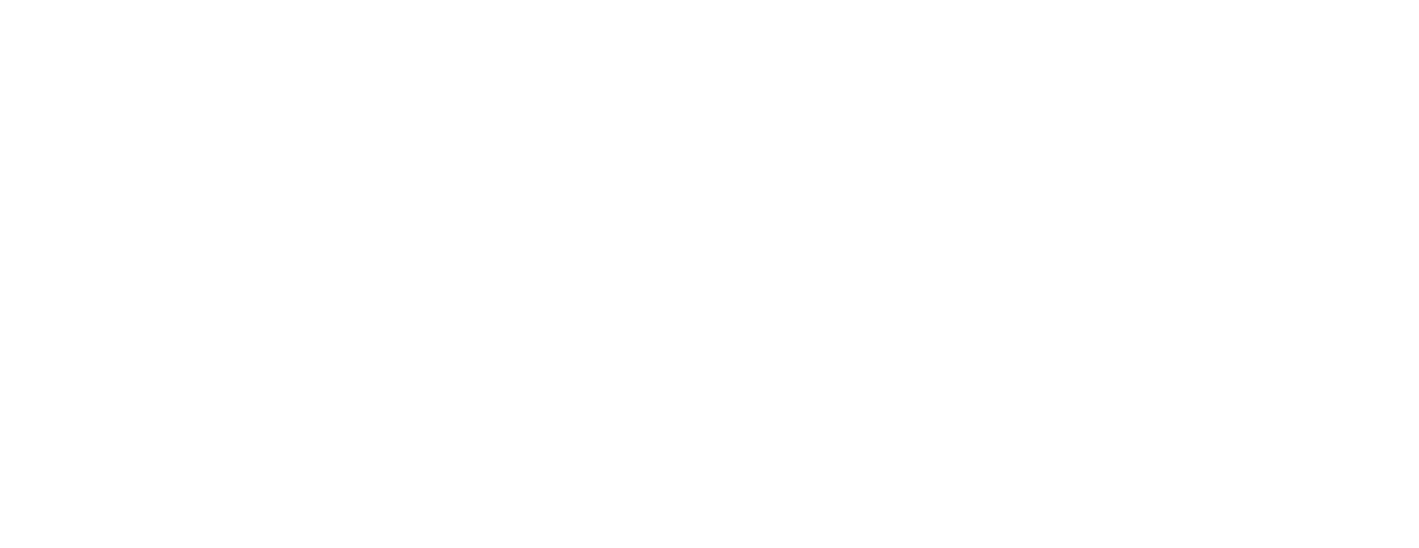 The Vape Dispo