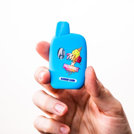Blueberry Zlushie Vape – Sweet & Tangy Blueberry with Icy Slush