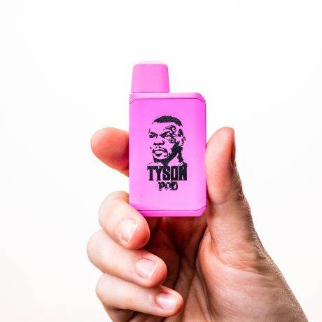 BUBBLEGUM GELATO