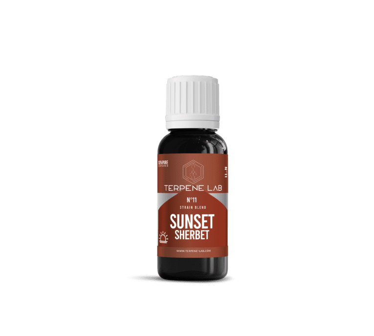 Sunset Sherbet strain – sweet, fruity, and calming indica hybrid for relaxation