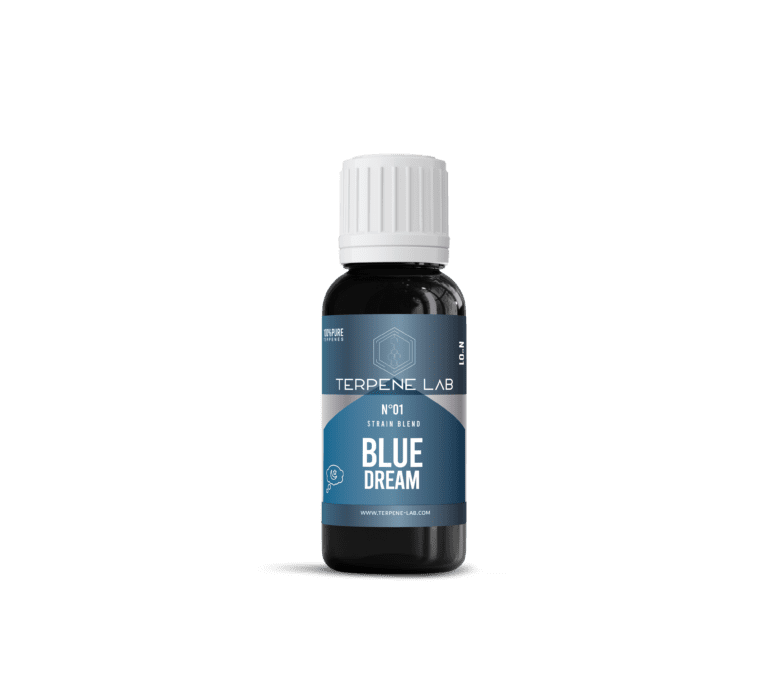 Blue Dream – Sweet, uplifting hybrid cannabis strain